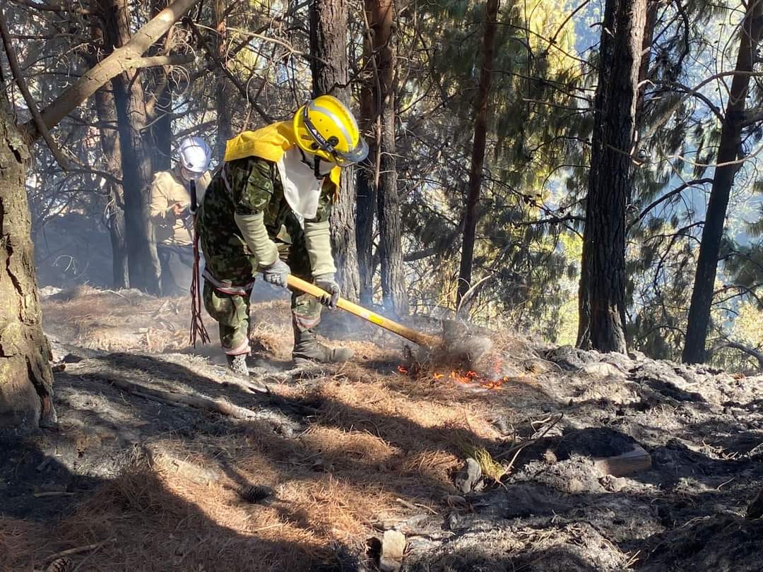 Incendios forestales